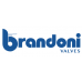Клапан зворотній міжфланцевий DN150 Brandoni M6.430