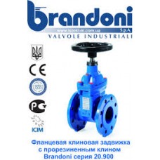 Засувка чавунна з гумовим клином фл. DN150 PN16 BRANDONI, Італія