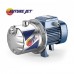 FUTURE JETm 2A-ST (46FJ202AA1) самовсасывающий насос