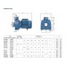 Насос HFm 5ARM Pedrollo (47HF5M2RA0A1) моноблочный насос средней производительности